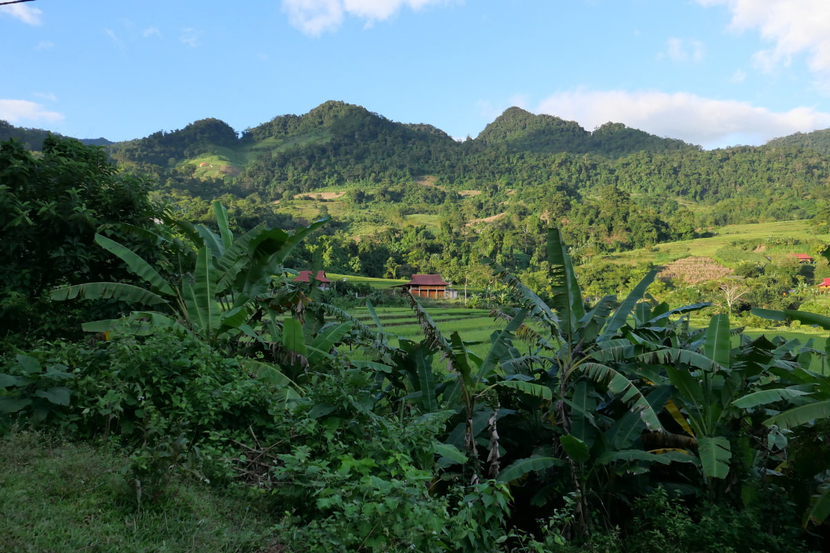 Beautiful moments of nature in Mai Chau (7) Beautiful moments of nature in Mai Chau
