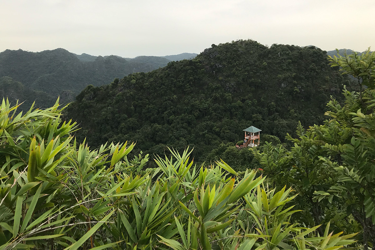 Cat Ba National Park