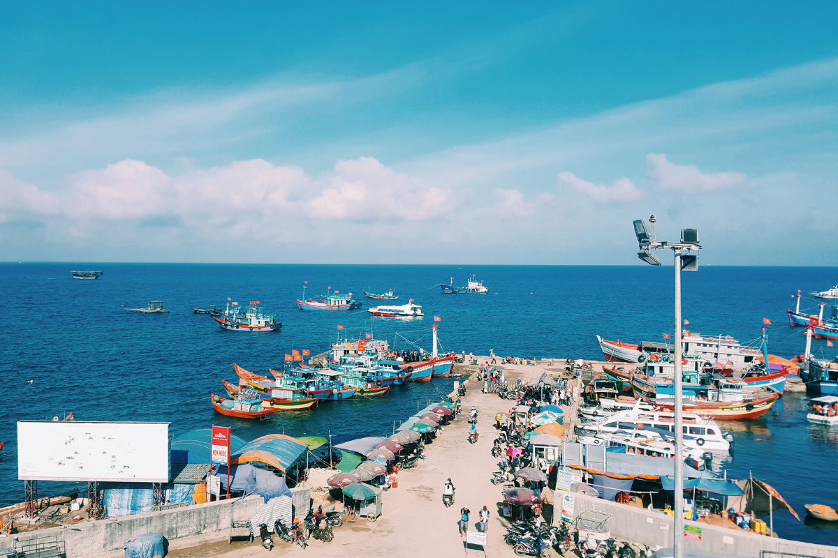 Vibrant life in the ports