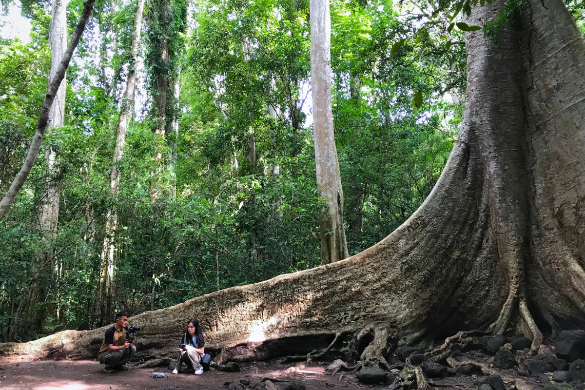 Soak into the fresh air and unique experiences in nature in Nam Cat Tien