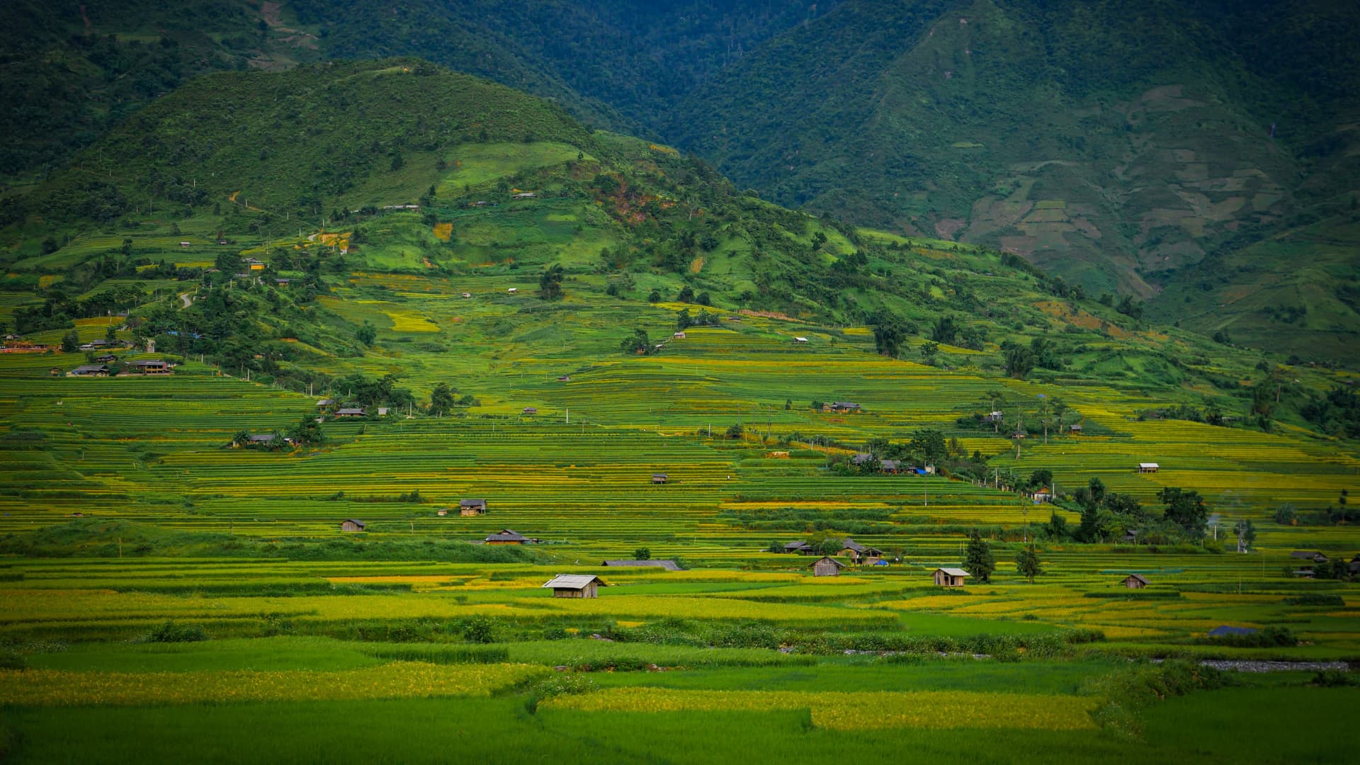 Witnessone of the most beautiful rice terraces in the world in Mu Cang Chai