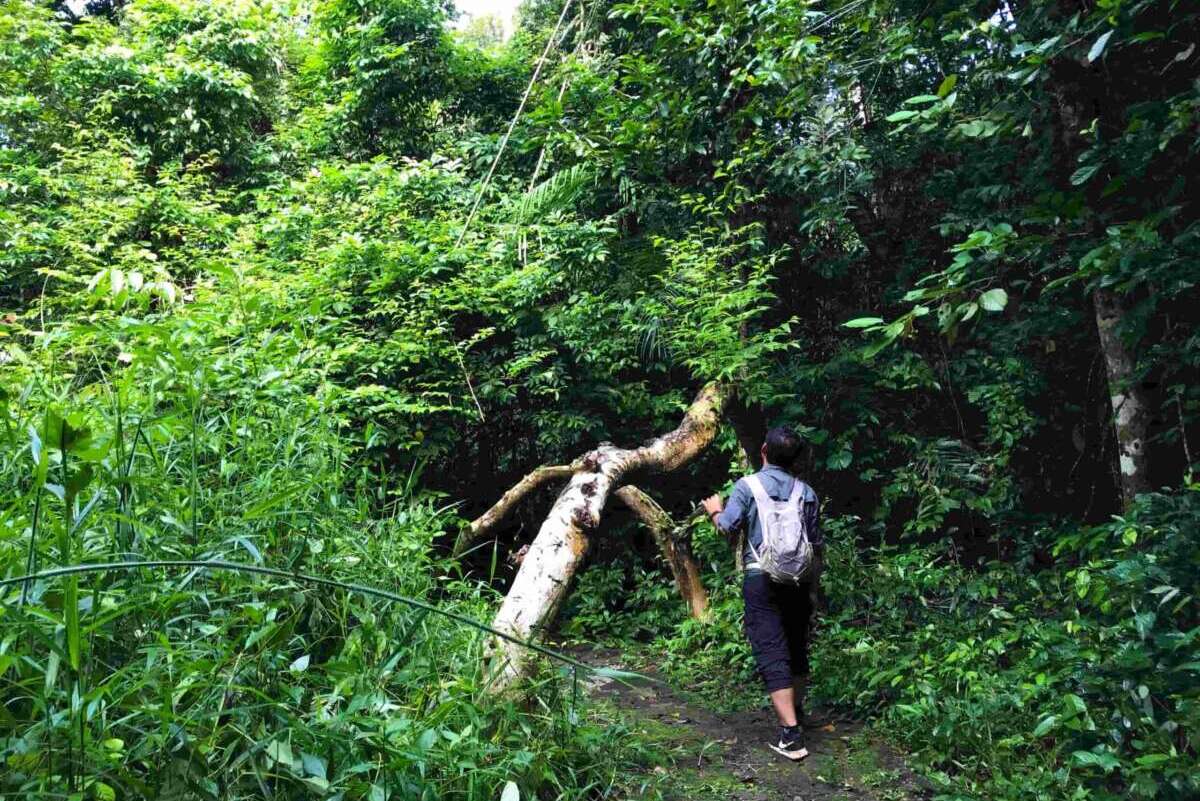Nam Cat Tien National Park