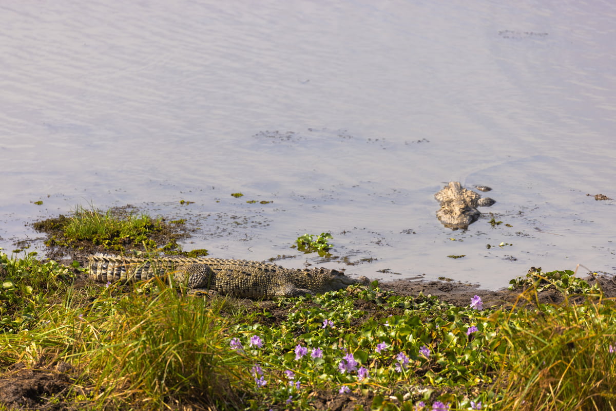 Bau Sau Ramsar in Cat Tien national park