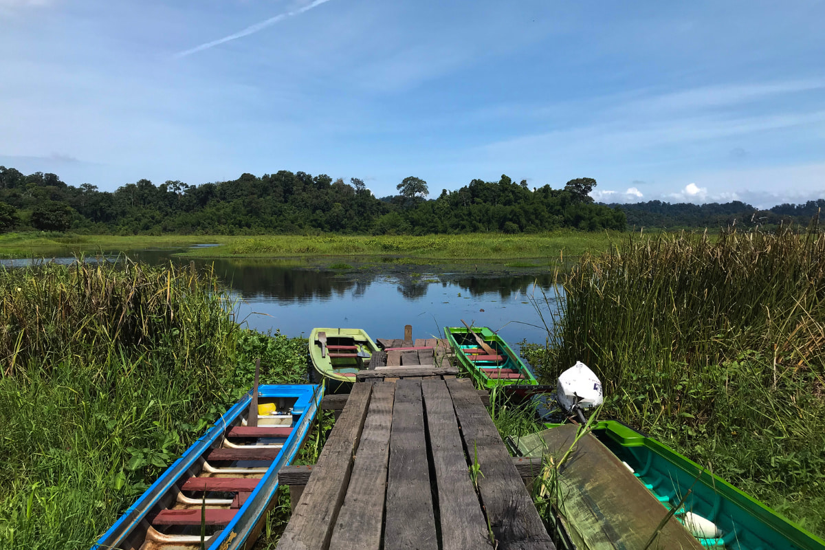 Nam Cat Tien national park