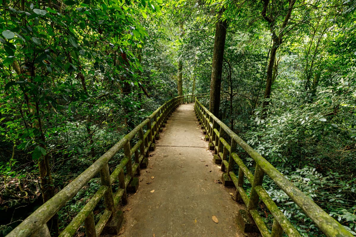 Ninh Bình (12) trekking route inside Cuc Phuong national park