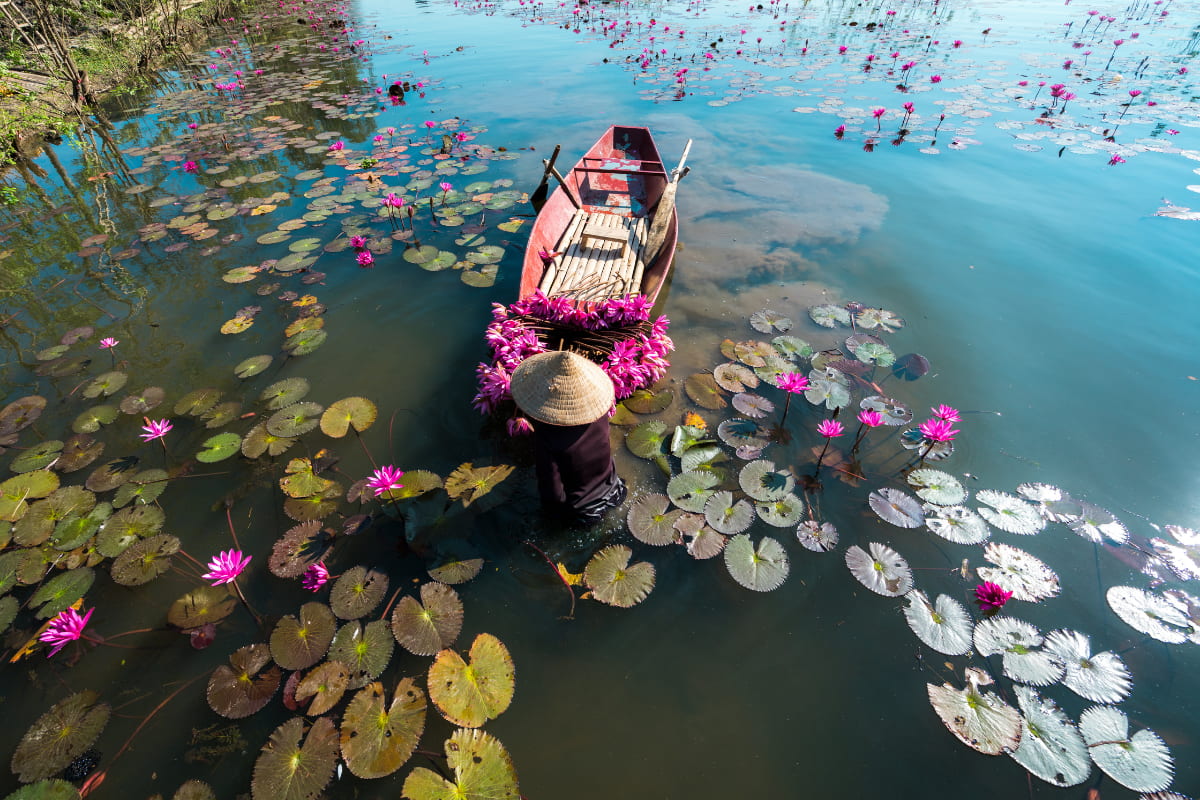 Ninh Bình (4)