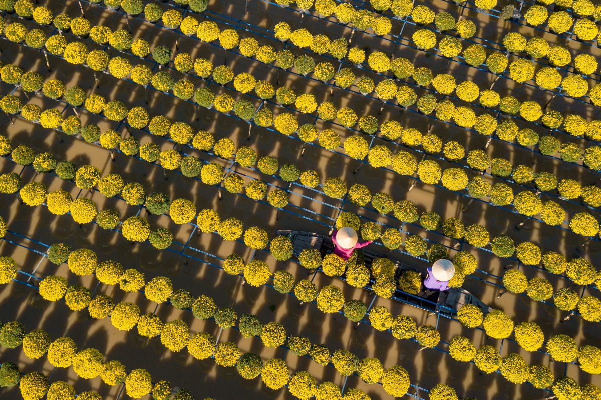 Sa Đéc flower village