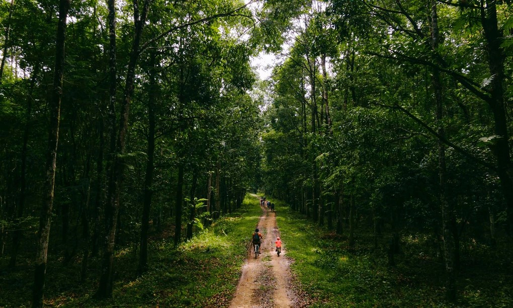 cycling in Cat Tien national park