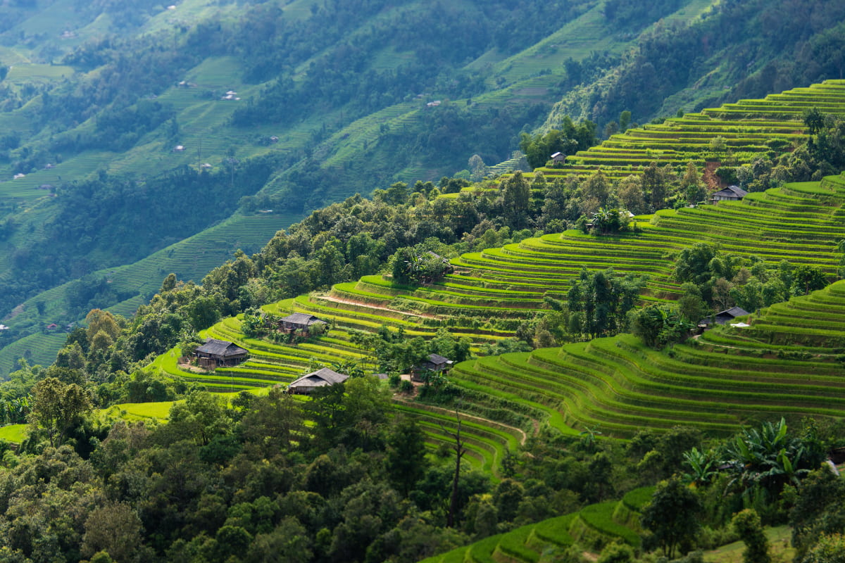 Hoang Su Phi – Ha Giang Hoang Su Phi - Ha Giang