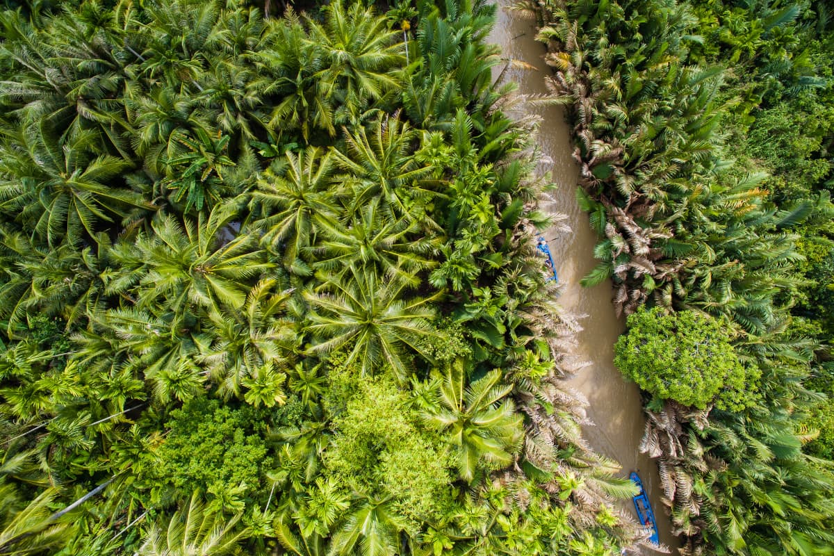 Mekong Delta