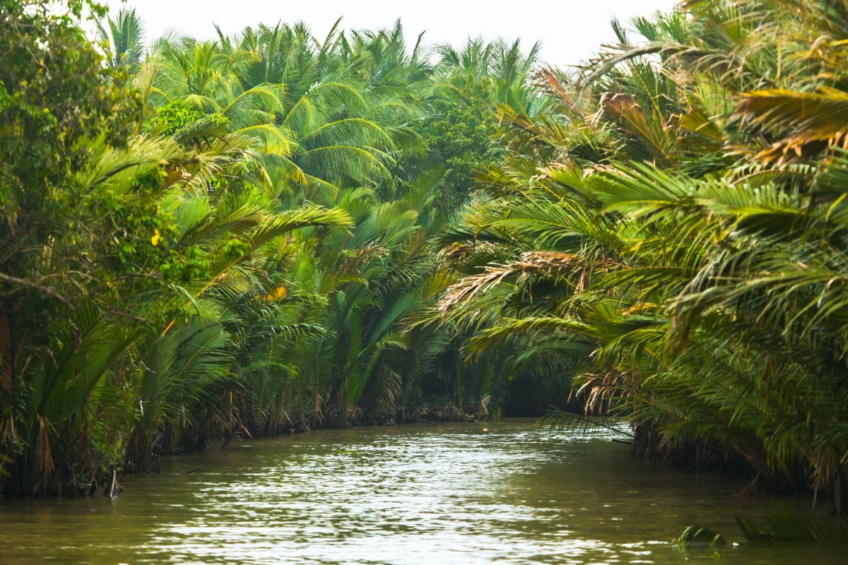 Ben Tre in Mekong Delta