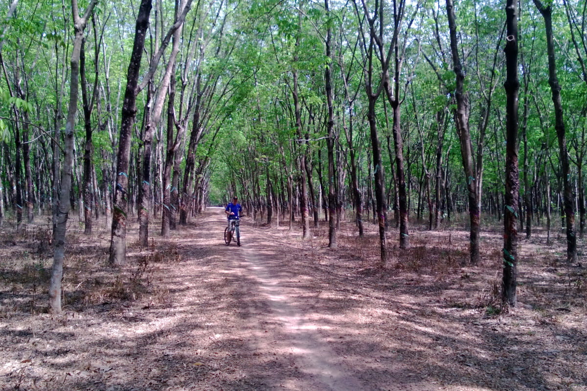 Cycling tour to My Tho - Mekong Delta (4)