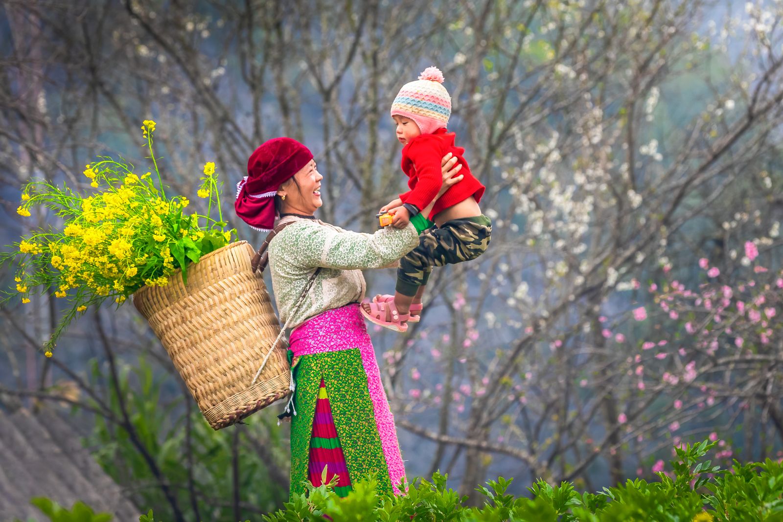 Ha Giang 100