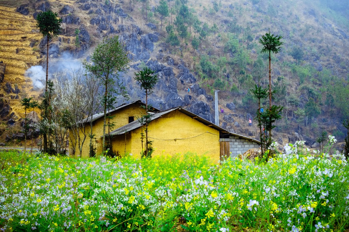 Ha Giang (11)_8_11zon A traditional house in Ha Giang