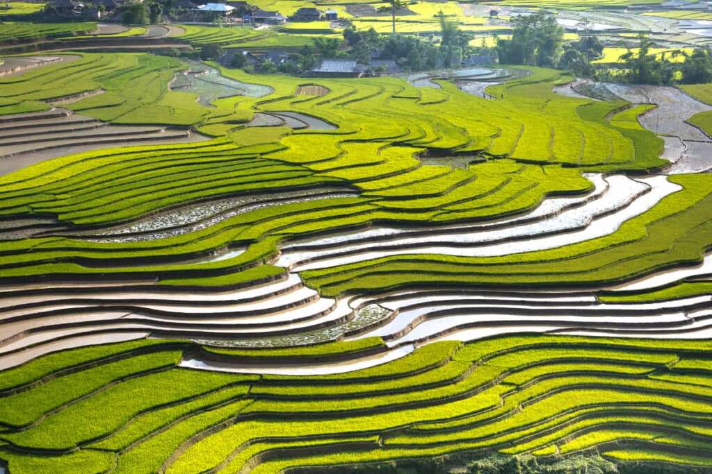 Water pouring season in Mu Cang Chai