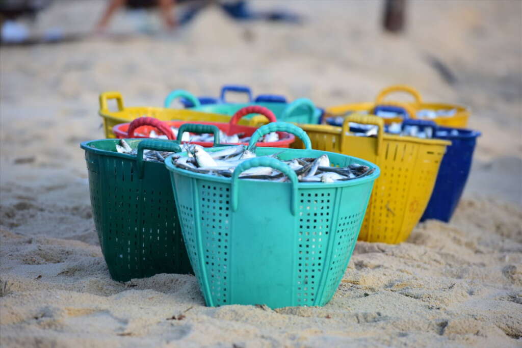 Fishing village in Quang Nam