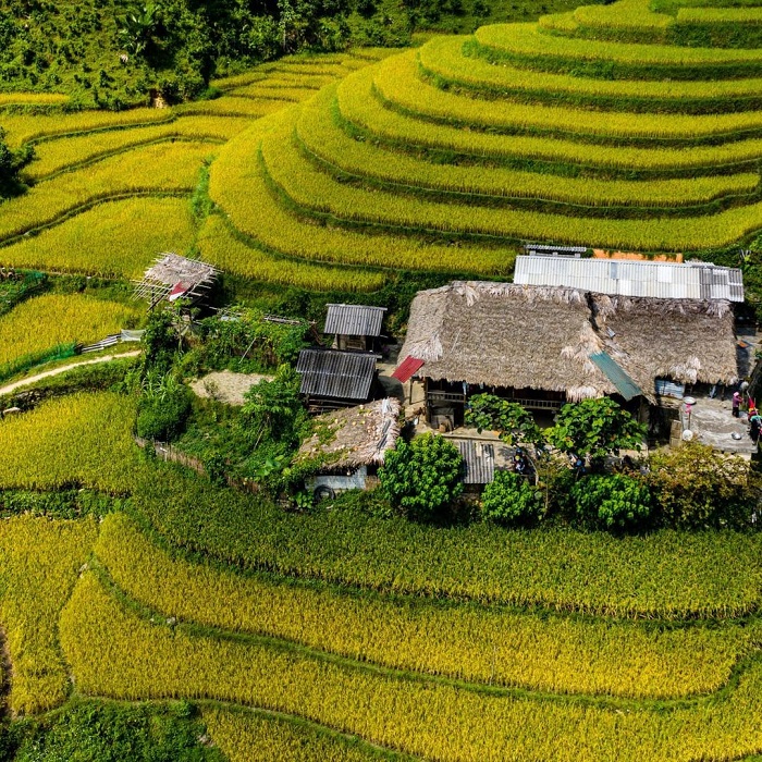 Stilt houses nestled among the terraced rice fields of the local people in Ban Lien. Photo: @la.beaute.bacha