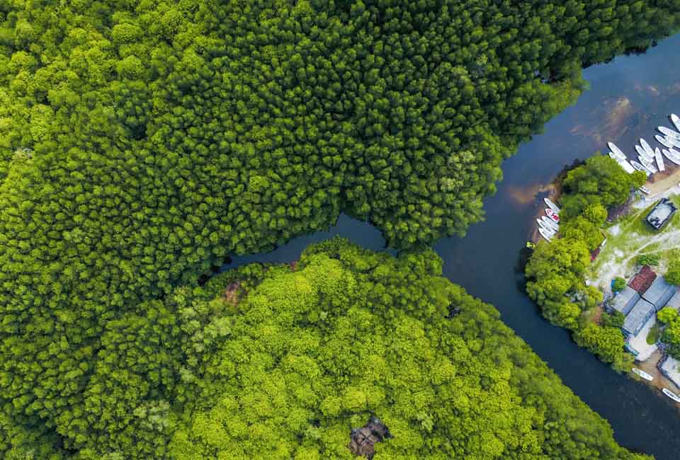 Can Gio Biosphere Reserve from above