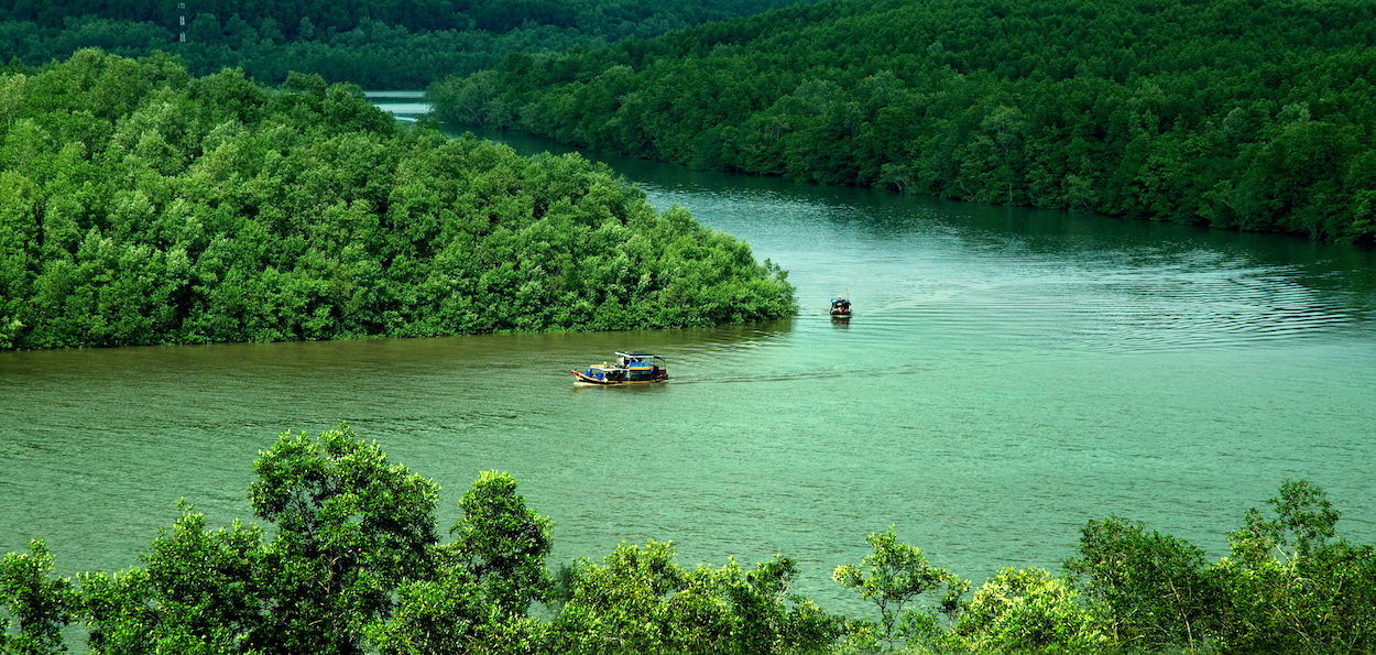 Can Gio Biosphere Reserve from canal