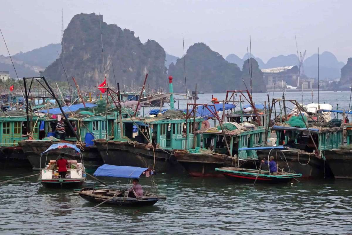 Immerse yourself in the life of fishermen in Cat Ba - Lan Ha