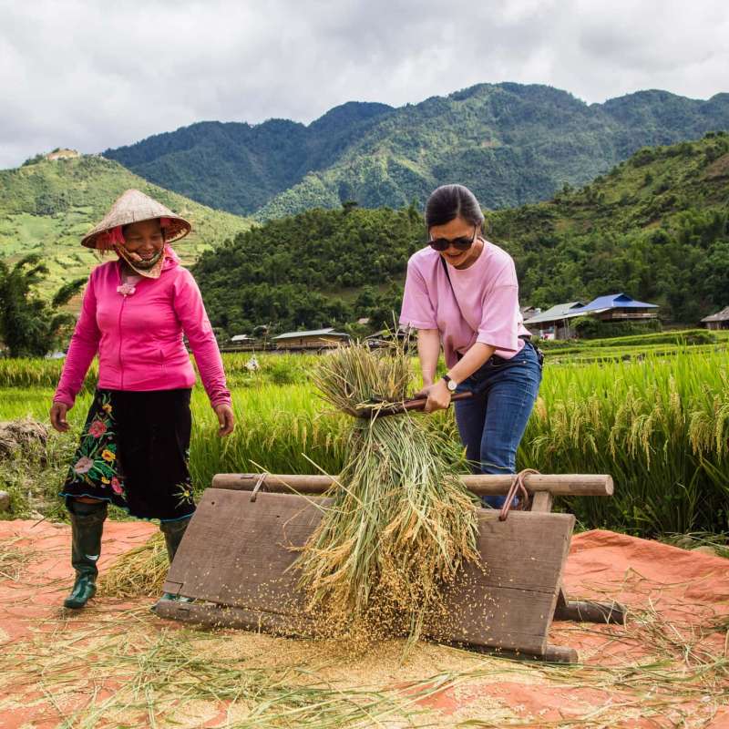 Mu Cang Chai Join local friends in their fields to be a Vietnamese farmer!