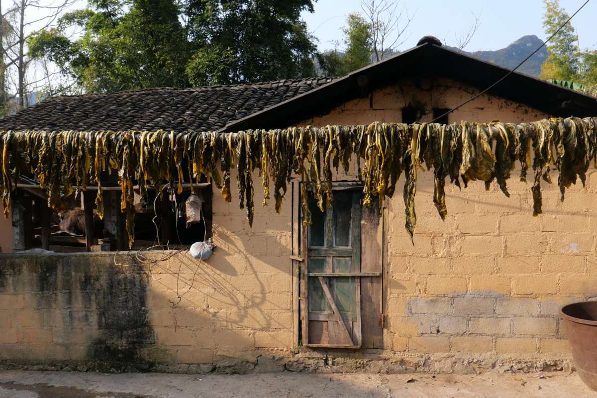 Ma Le ancient village - Ha Giang