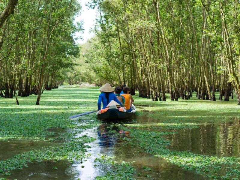 Lush nature of Mekong Delta Lush nature of Mekong Delta