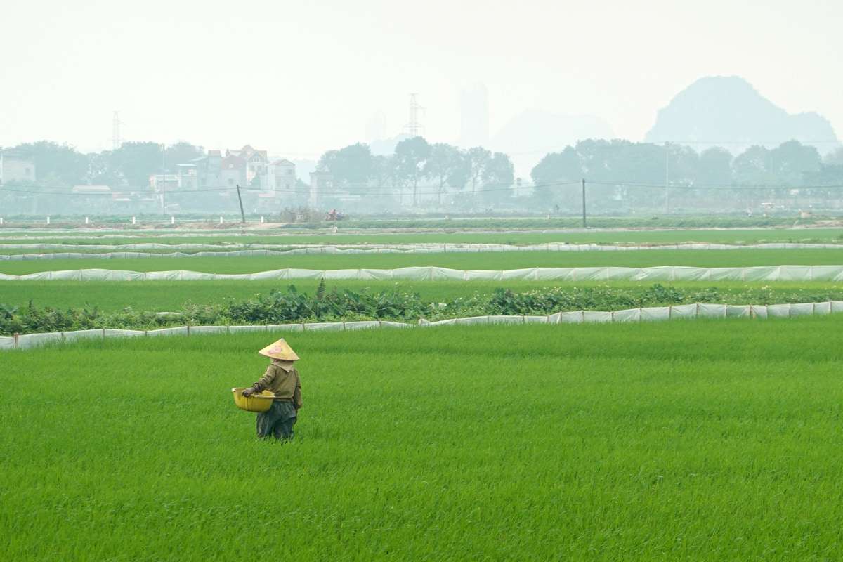 Van Long - Ninh Binh (13)