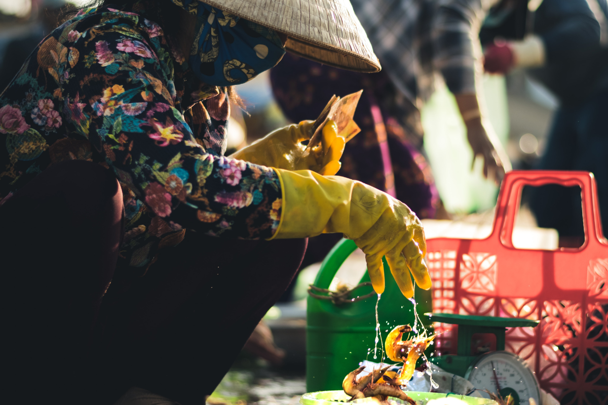 Fish Market in Phan Thiet